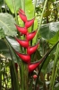 20120325-IMG_3006