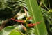 20120325-IMG_3028