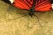 20120325-IMG_3057