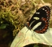 20120325-IMG_3058