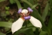 20120325-IMG_3082