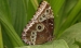 20120325-IMG_3095