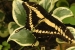 20120325-IMG_3113