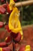 20120325-IMG_3114