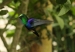 20120325-IMG_3187
