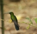20120325-IMG_3194