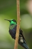 20120325-IMG_3232