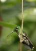 20120325-IMG_3355a