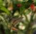 20120325-IMG_3410