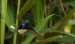 20120325-IMG_3438