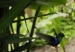 20120325-IMG_3470