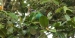 20120326-IMG_3525