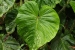 20120326-IMG_3545