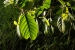 20120326-IMG_3555