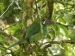 20120326-IMG_3670