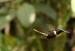 20120326-IMG_3718a