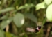 20120326-IMG_3719a