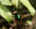 20120326-IMG_3722a