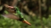 20120326-IMG_3727a