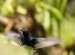20120326-IMG_3739