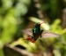 20120326-IMG_3759