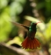 20120326-IMG_3760