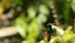 20120326-IMG_3761