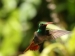 20120326-IMG_3763