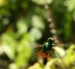 20120326-IMG_3765
