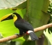 20120326-IMG_3787a