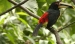 20120326-IMG_3854a