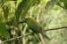 20120326-IMG_3899