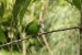 20120326-IMG_3904