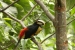20120326-IMG_3912