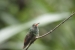 20120903-IMG_5477-3
