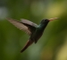 20120903-IMG_5643-3