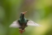 20120903-IMG_5907-3