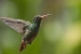20120903-IMG_5911-3