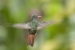 20120903-IMG_5923-3