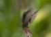 20120903-IMG_5973-3