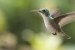 20120903-IMG_6007-3