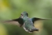 20120903-IMG_6025-3