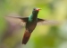 20120903-IMG_6043-3
