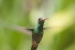 20120903-IMG_6124-3