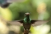 20120903-IMG_6161-3