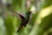 20120903-IMG_6176-3