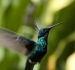 20120903-IMG_6209-3