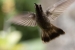 20120903-IMG_6247-3