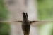 20120903-IMG_6251-3