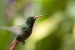 20120903-IMG_6315-3